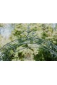 Garden Arch PREMIUM LEA Spitze
