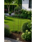 Trellis SIMPLE