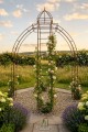 Pavillon ALEX 4-Sided 200 x 200 cm