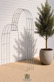 Wall Garden Arch LARA