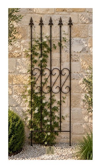 Climbing support Rose