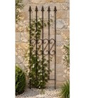 Climbing support ROSE