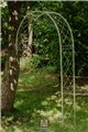 Wall Garden Arch Lilli