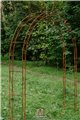 Garden Arch HANNAH