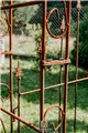 Garden Arch  ALEX with Gate