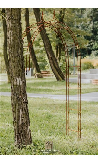 Wall Garden Arch Lena Spitze