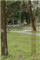 Wall Garden Arch Lena Spitze