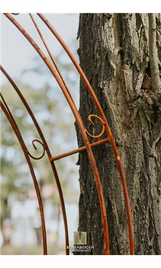 Wall Garden Arch Lena Spitze