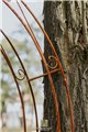 Wall Garden Arch Lena Spitze