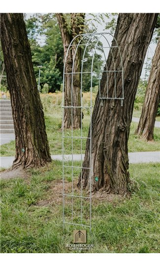 Wall Garden Arch LARA