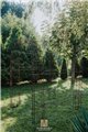  Garden Archway LEA Rund