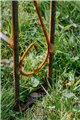  Garden Archway LEA Spitze