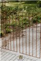Garden Arch ALEX with Gate