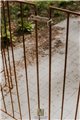 Garden Arch ALEX with Gate