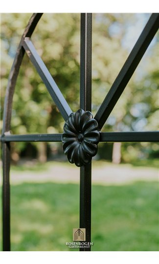 Climbing support Lina