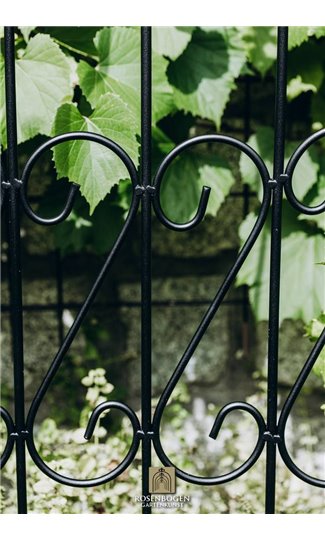 Climbing support Rose