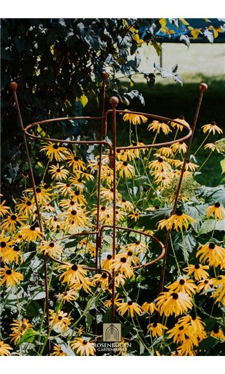 Climbing support OVAL