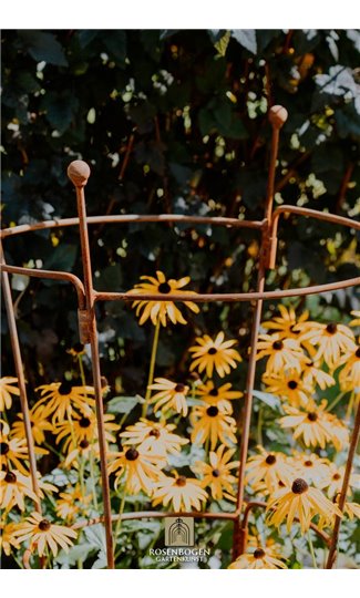 Climbing support OVAL