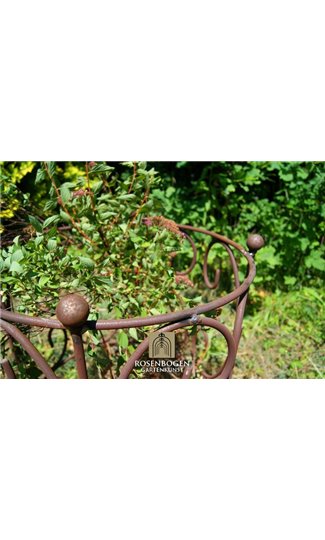 Climbing support RING