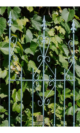 Climbing support ANN