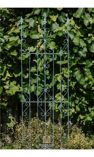 Climbing support ANN