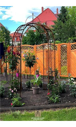 Pavillon PIA 4-Sided 180 x 180 cm