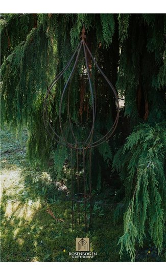 Climbing support HANS