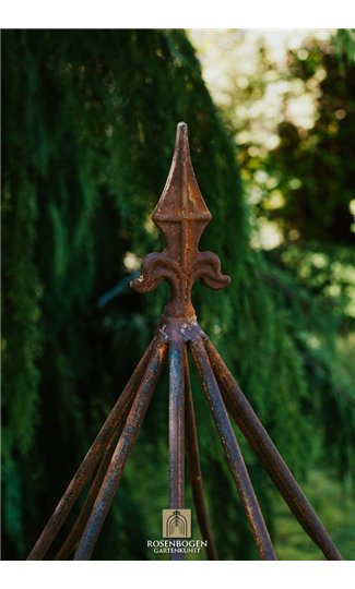 Climbing support HANS