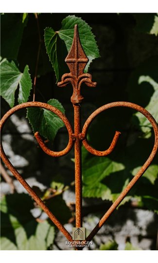 Climbing support JOHANN - 3 Set