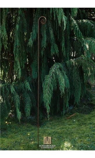 Climbing support KLAUS