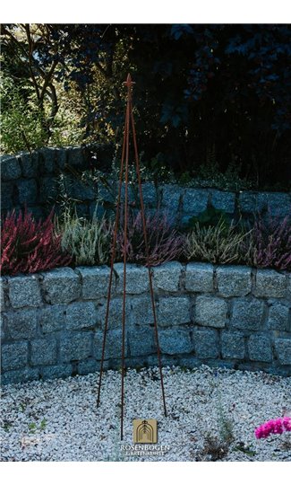 Climbing support PAUL