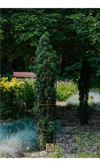 Climbing support KIAN