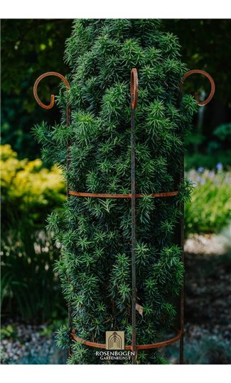 Climbing support KIAN