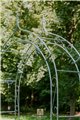 Garden Arch ALEX Lilie Spitze