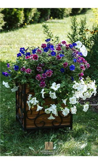 Flowerpot 50 x 50 cm